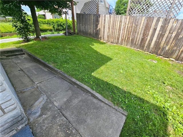 596 Beech St, City Of Washington, PA 15301 - view of yard