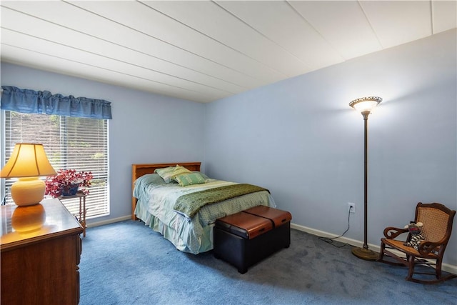 2034 Swallow Hill Rd Unit 419, Pittsburgh, PA 15220 - carpeted bedroom with baseboards