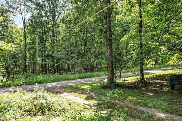 3067 N 3rd St, Jamestown, PA 16134 - view of tree filled area