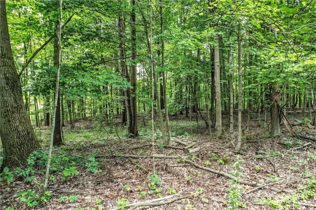 3067 N 3rd St, Jamestown, PA 16134 - view of tree filled area