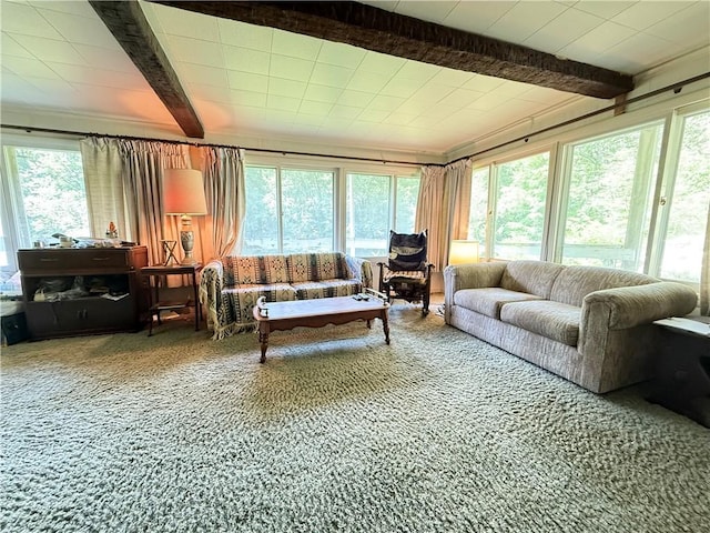 3067 N 3rd St, Jamestown, PA 16134 - sunroom / solarium with beamed ceiling, plenty of natural light, and carpet floors