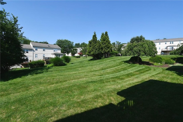1065 Duncan Ln, Whitehall, PA 15236 - view of grassy yard