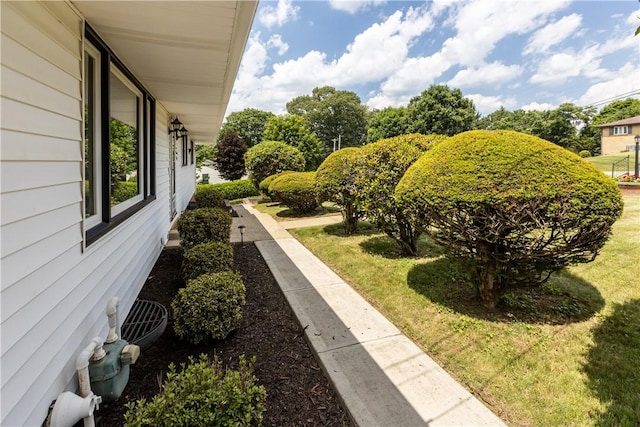 108 Dave St, Daugherty Twp, PA 15066 - view of green lawn