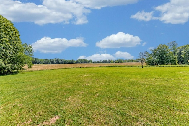 304 Wirsing Rd, Wharton Twp, PA 15440 - view of grassy yard with a view of rural / pastoral area