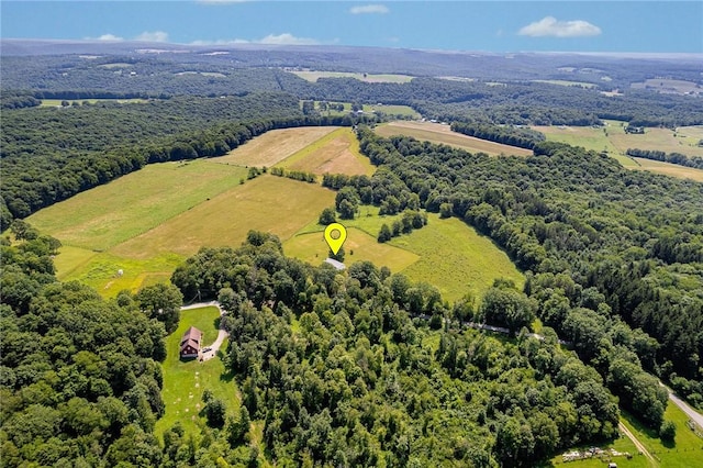 304 Wirsing Rd, Wharton Twp, PA 15440 - drone / aerial view