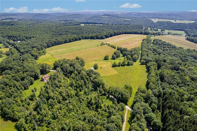 304 Wirsing Rd, Wharton Twp, PA 15440 - bird's eye view of a forest