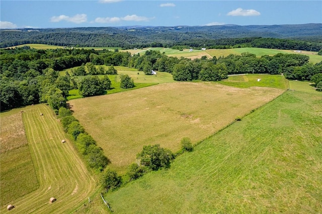 304 Wirsing Rd, Wharton Twp, PA 15440 - view of rural area