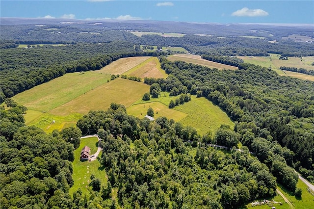304 Wirsing Rd, Wharton Twp, PA 15440 - drone / aerial view