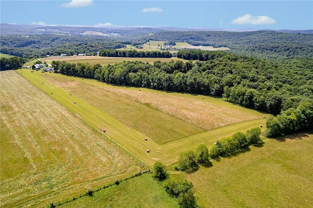 304 Wirsing Rd, Wharton Twp, PA 15440 - view of rural area
