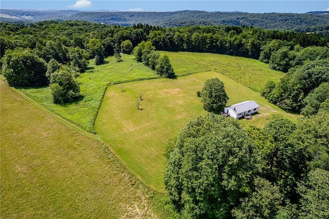 304 Wirsing Rd, Wharton Twp, PA 15440 - drone / aerial view of a forest