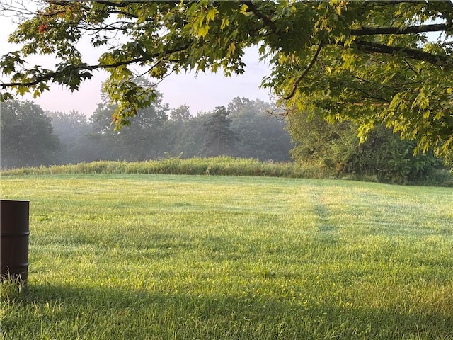304 Wirsing Rd, Wharton Twp, PA 15440 - view of green lawn with a view of trees