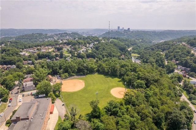 1246 Clairhaven St, Crafton Heights, PA 15205 - drone / aerial view