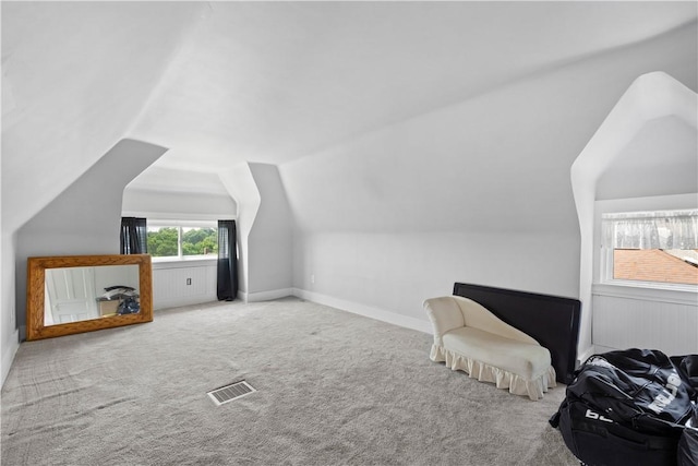 1246 Clairhaven St, Crafton Heights, PA 15205 - additional living space with vaulted ceiling and carpet flooring