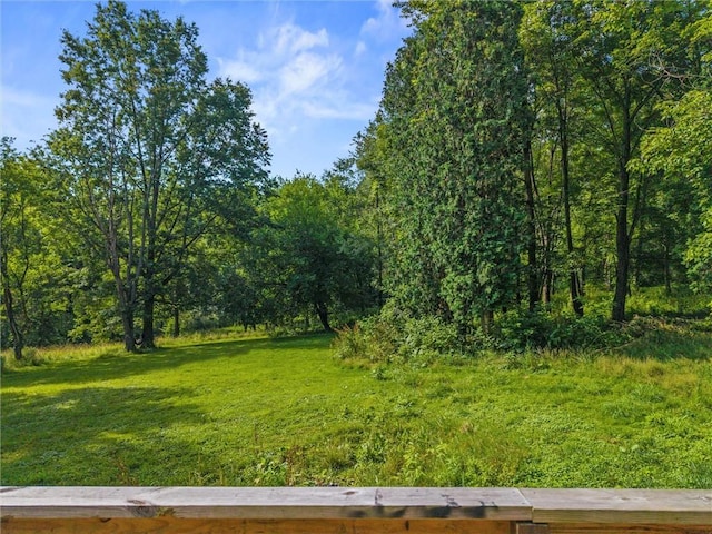 32 Spring Hill Ln, Shenango Twp, PA 16101 - photo 23