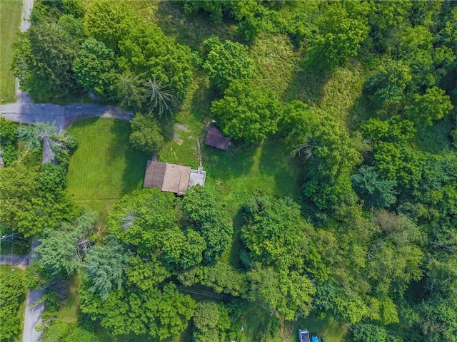 32 Spring Hill Ln, Shenango Twp, PA 16101 - photo 30
