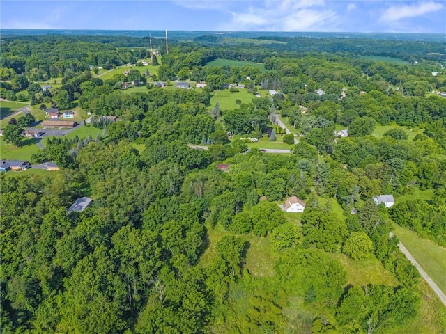 32 Spring Hill Ln, Shenango Twp, PA 16101 - photo 32