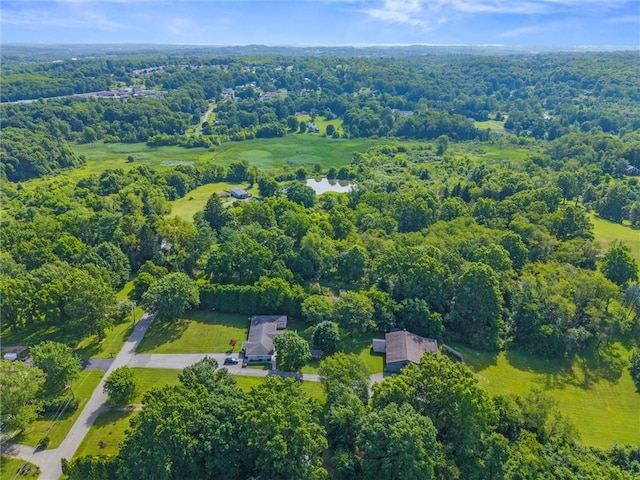 32 Spring Hill Ln, Shenango Twp, PA 16101 - photo 35