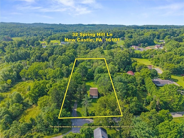 32 Spring Hill Ln, Shenango Twp, PA 16101 - photo 37