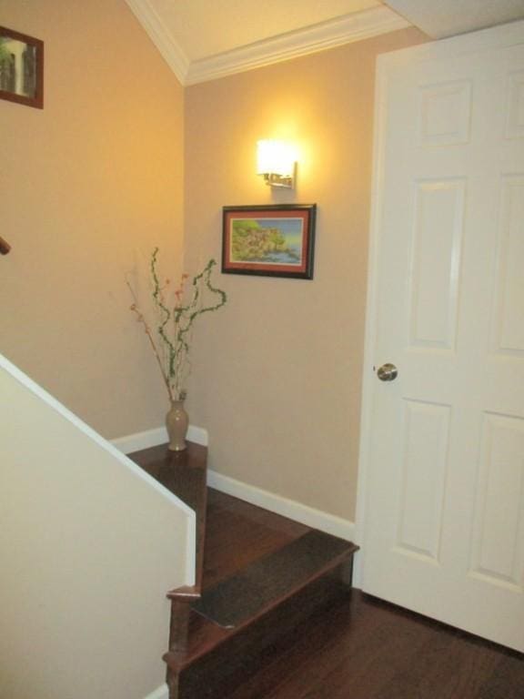 5025 Bocktown Rd, Hopewell Twp, PA 15001 - stairway featuring crown molding and wood finished floors