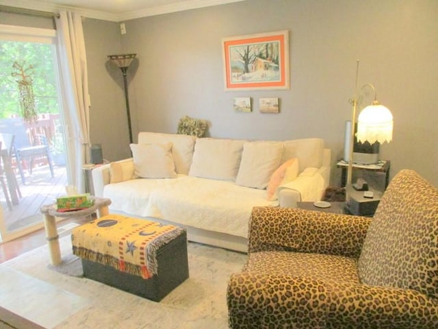 5025 Bocktown Rd, Hopewell Twp, PA 15001 - living room with ornamental molding and wood finished floors