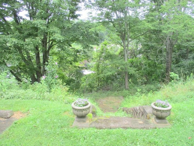 5025 Bocktown Rd, Hopewell Twp, PA 15001 - view of yard