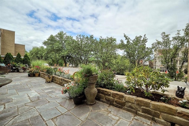 5100 5th Ave Unit 311, Shadyside, PA 15232 - photo 16