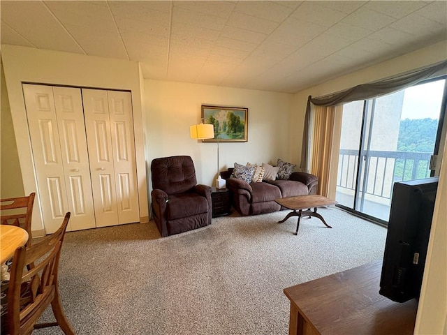 1987 Centurion Dr Unit 509, Forest Hills Boro, PA 15221 - view of carpeted living room