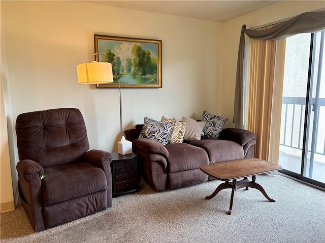 1987 Centurion Dr Unit 509, Forest Hills Boro, PA 15221 - living room featuring carpet
