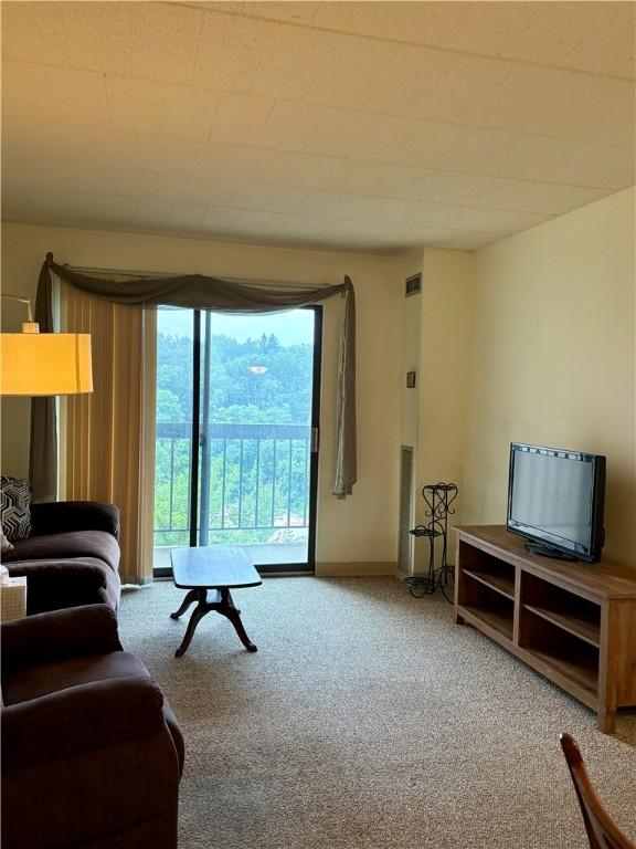 1987 Centurion Dr Unit 509, Forest Hills Boro, PA 15221 - living room with carpet flooring and baseboards