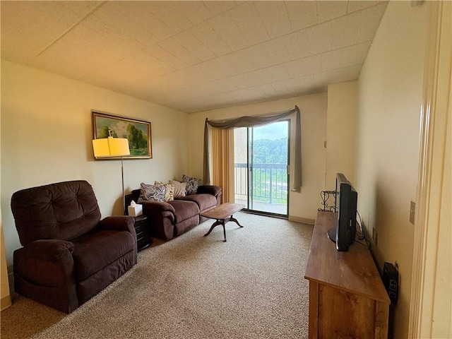 1987 Centurion Dr Unit 509, Forest Hills Boro, PA 15221 - view of carpeted living area