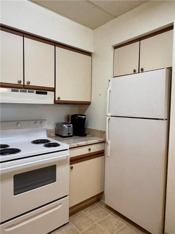 1987 Centurion Dr Unit 509, Forest Hills Boro, PA 15221 - kitchen with white appliances, under cabinet range hood, light countertops, and white cabinetry