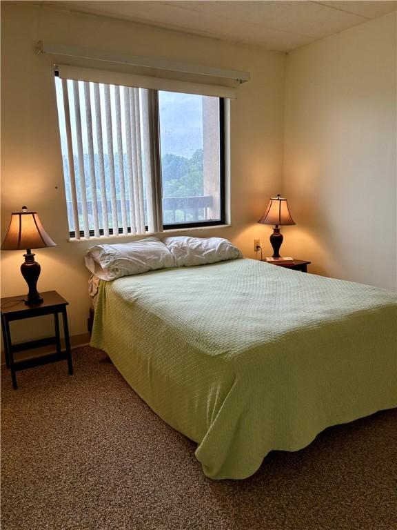 1987 Centurion Dr Unit 509, Forest Hills Boro, PA 15221 - bedroom featuring multiple windows and carpet