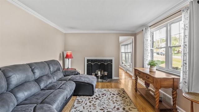 341 E Mcmurray, Peters Twp, PA 15317 - living room featuring a fireplace, light wood finished floors, and crown molding