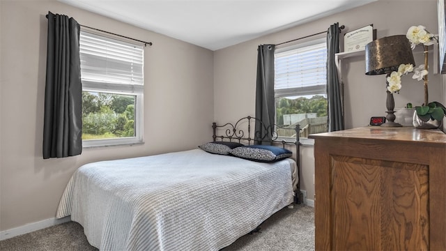 341 E Mcmurray, Peters Twp, PA 15317 - bedroom with carpet flooring and multiple windows