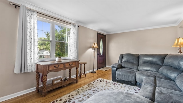341 E Mcmurray, Peters Twp, PA 15317 - living room featuring light wood-style floors and ornamental molding