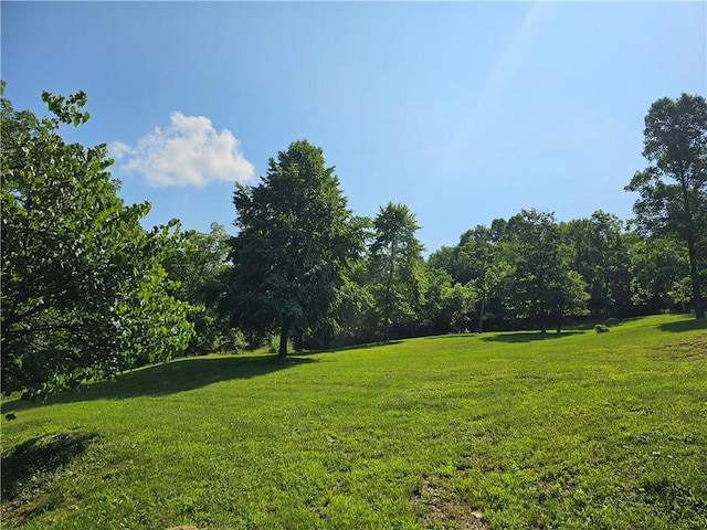 170 Laidleys Run Rd, West Finley, PA 15376 - view of green lawn