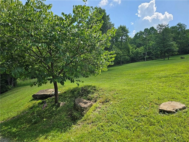 170 Laidleys Run Rd, West Finley, PA 15376 - view of grassy yard