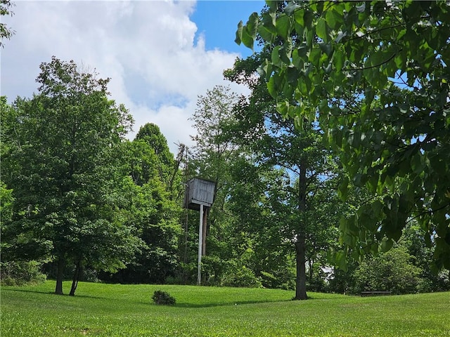 170 Laidleys Run Rd, West Finley, PA 15376 - exterior view