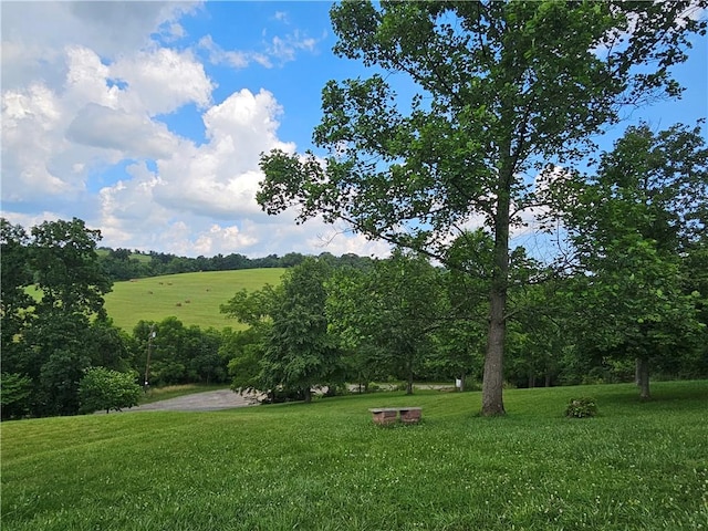 170 Laidleys Run Rd, West Finley, PA 15376 - view of community with a lawn
