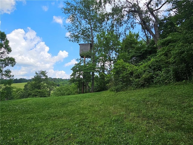 170 Laidleys Run Rd, West Finley, PA 15376 - view of green lawn