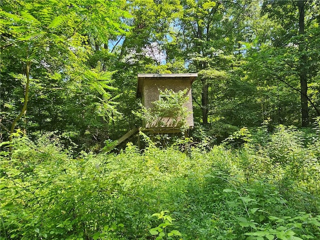 170 Laidleys Run Rd, West Finley, PA 15376 - exterior view of a forest