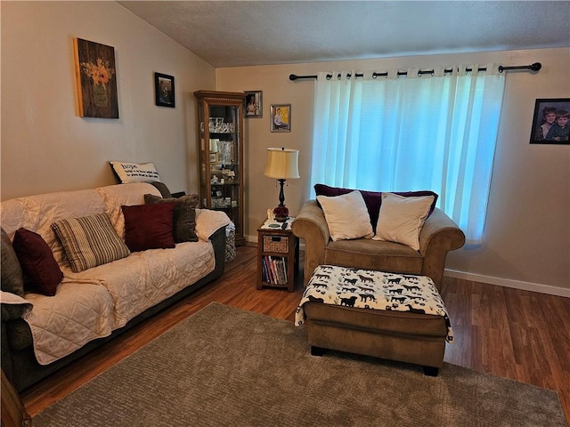 170 Laidleys Run Rd, West Finley, PA 15376 - living area with wood finished floors and lofted ceiling