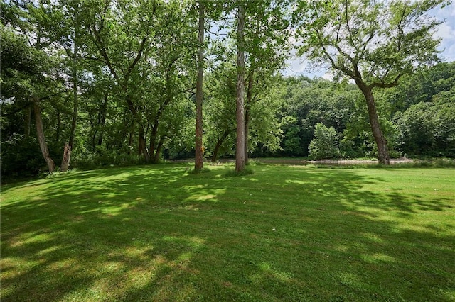 214 Youngs Ln, Sugarcreek, PA 16323 - view of grassy yard with a view of trees
