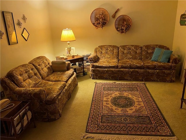 39 Hogue Rd, West Middlesex Boro, PA 16159 - living room featuring carpet flooring