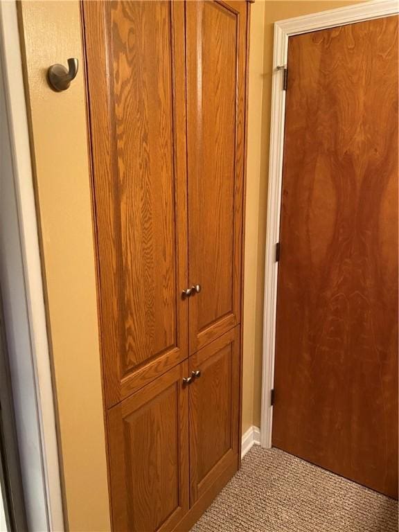 39 Hogue Rd, West Middlesex Boro, PA 16159 - detailed view of carpet