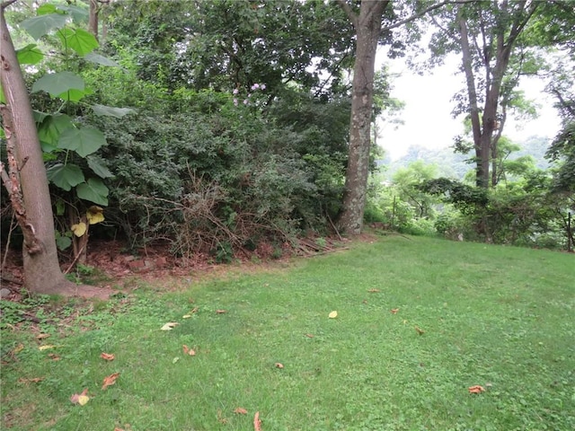 150 Marshall Dr, Penn Hills, PA 15235 - view of grassy yard