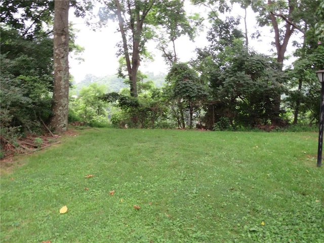 150 Marshall Dr, Penn Hills, PA 15235 - view of green lawn