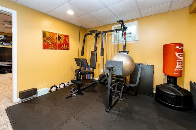 652 Cheyenne Trl, Jackson Twp, PA 16137 - workout room with a drop ceiling