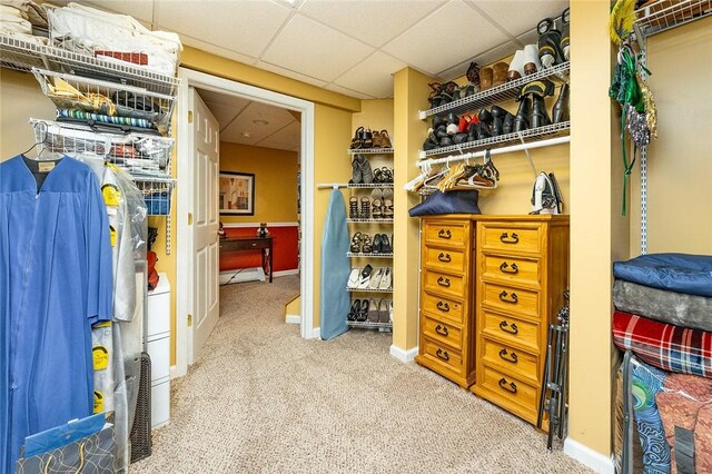 652 Cheyenne Trl, Jackson Twp, PA 16137 - walk in closet with carpet flooring and a paneled ceiling