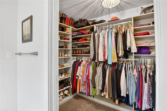 106 High Pointe Dr, Chartiers, PA 15301 - spacious closet with carpet flooring